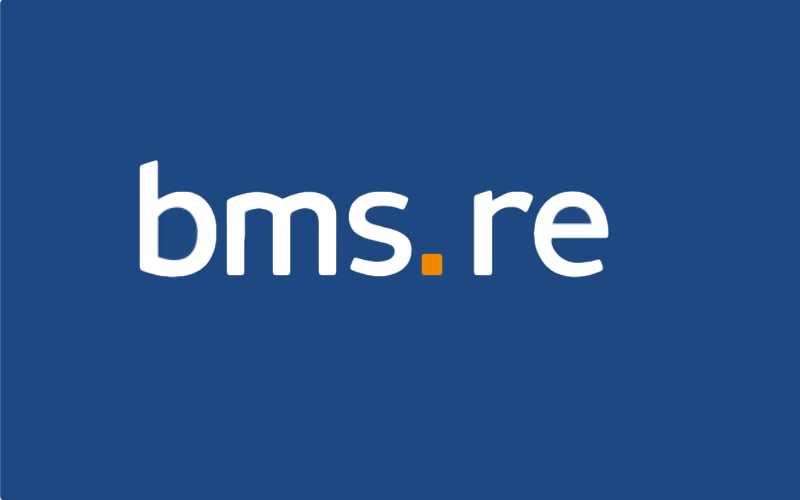 BMS Group Strengthens Brazil Operations With Catarine Xavier Silva Appointment