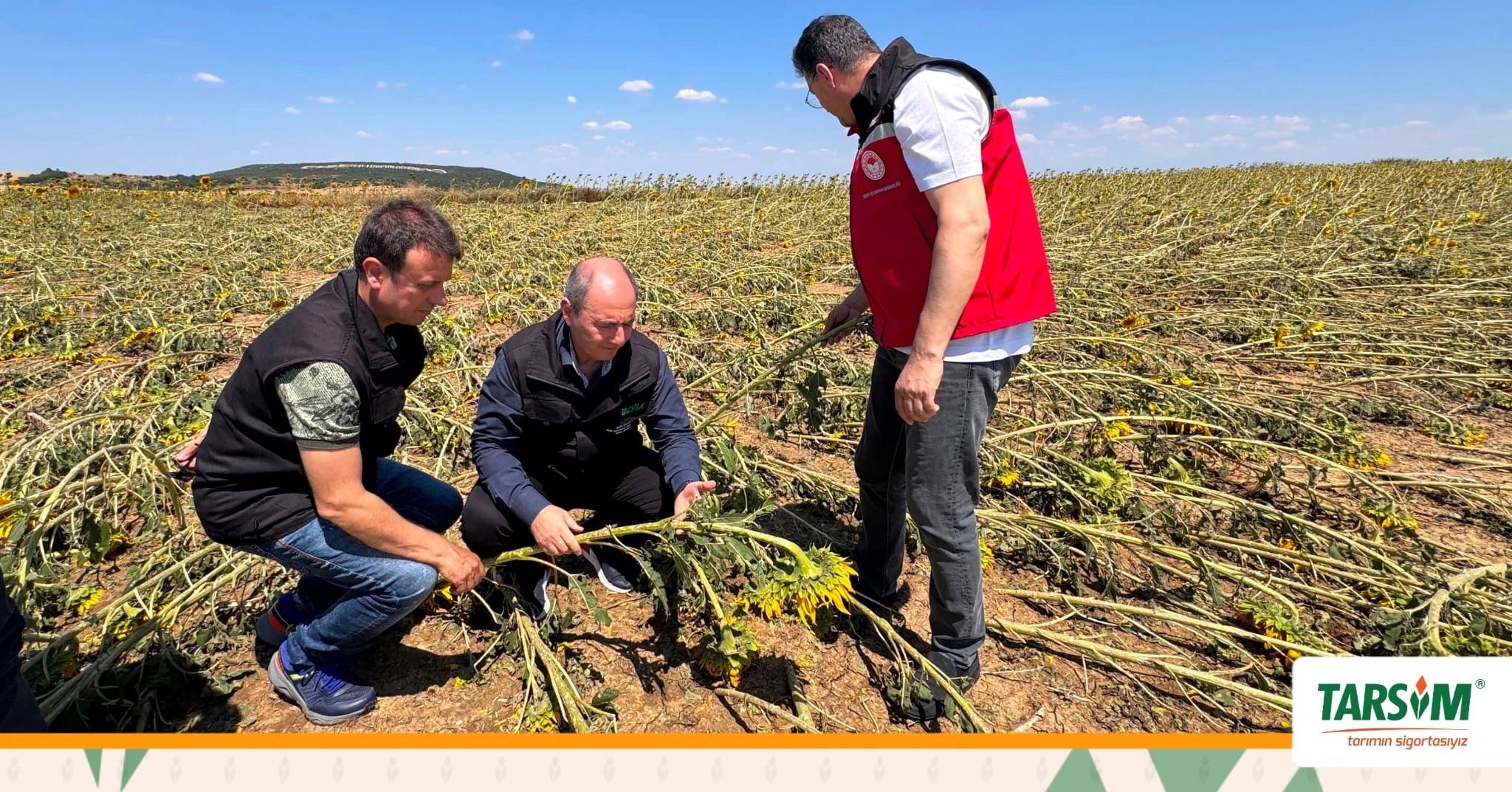 TARSİM Delegation Reviews Storm and Hail Damage in Tekirdağ, Urges Farmers to Strengthen Insurance Protection